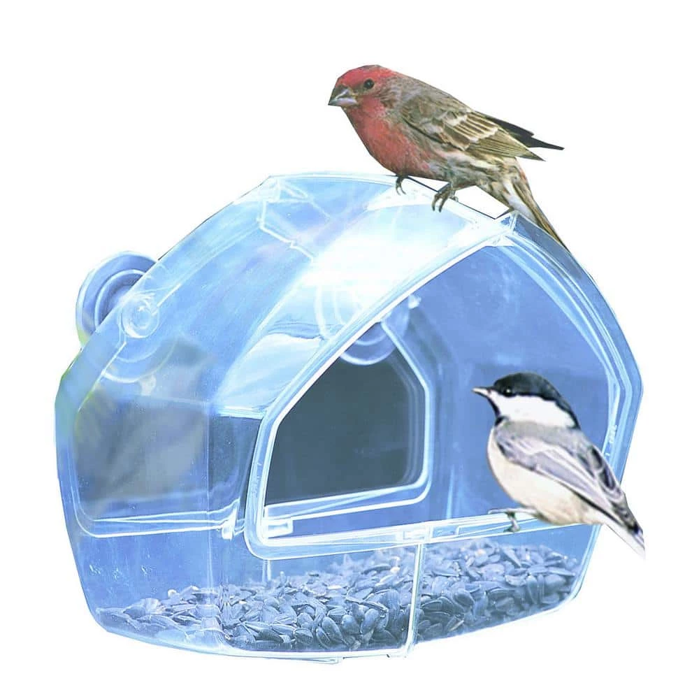Clear Window Mount Bird Feeder - 1 Cup Capacity by Perky-Pet 1 Clear Window Mount Bird Feeder - 1 Cup Capacity by Perky-Pet