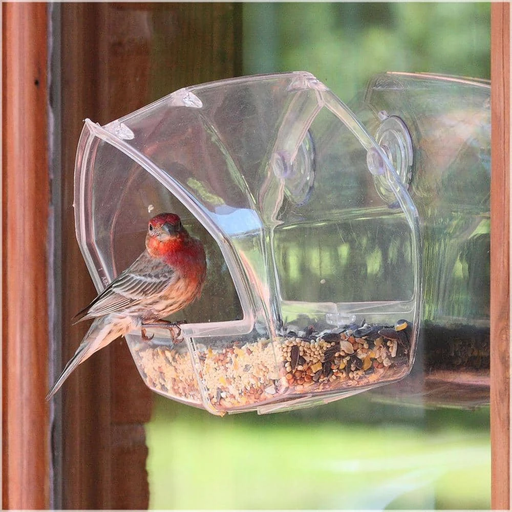 Clear Window Mount Bird Feeder - 1 Cup Capacity by Perky-Pet 2 Clear Window Mount Bird Feeder - 1 Cup Capacity by Perky-Pet - Image 2