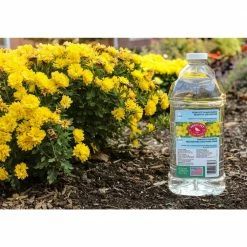 Cheap Bird & Wildlife Supplies Store -Cheap Bird & Wildlife Supplies Store clear perky pet bird seed food 239cl e1 1000