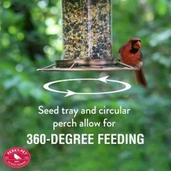 Copper Panorama Hanging Bird Feeder - 2 lb. Capacity by Perky-Pet -Cheap Bird & Wildlife Supplies Store copper perky pet bird feeders 312c 4f 1000