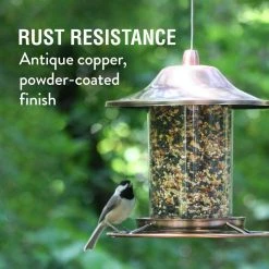 Copper Panorama Hanging Bird Feeder - 2 lb. Capacity by Perky-Pet -Cheap Bird & Wildlife Supplies Store copper perky pet bird feeders 312c c3 1000