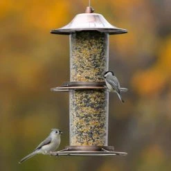 Copper Panorama Hanging Bird Feeder - 4.5 lb. Capacity by Perky-Pet 15 Copper Panorama Hanging Bird Feeder - 4.5 lb. Capacity by Perky-Pet -Cheap Bird & Wildlife Supplies Store copper perky pet bird feeders 325c 76 1000