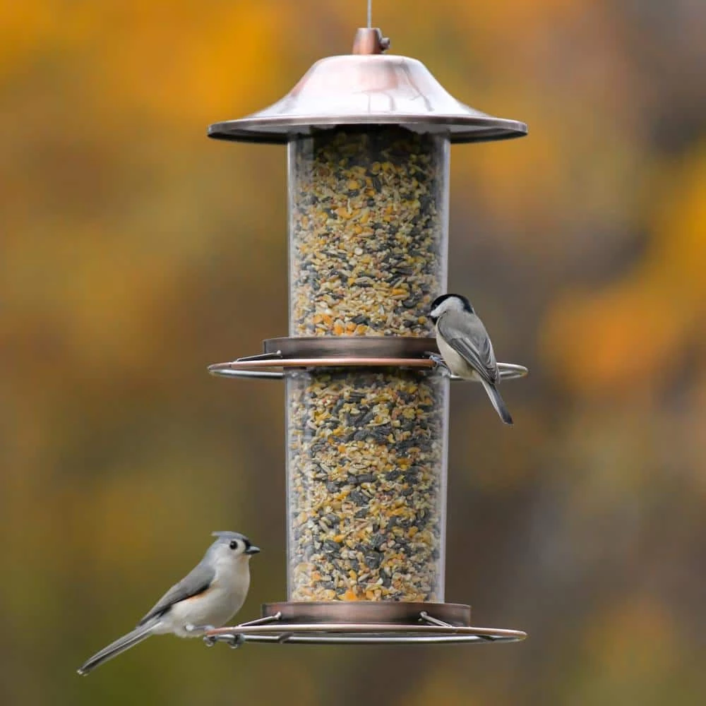 Copper Panorama Hanging Bird Feeder - 4.5 lb. Capacity by Perky-Pet 8 Copper Panorama Hanging Bird Feeder - 4.5 lb. Capacity by Perky-Pet - Image 8