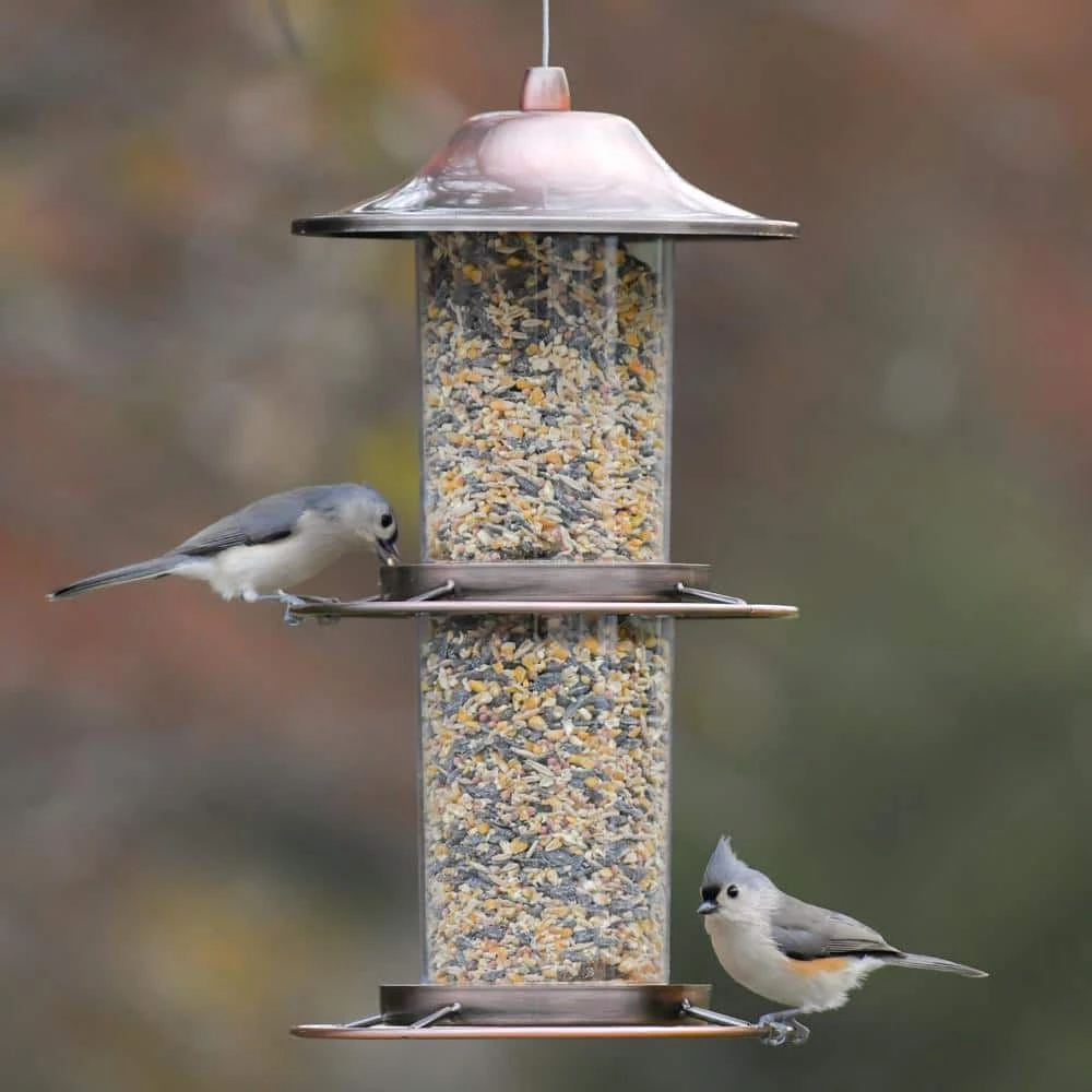 Copper Panorama Hanging Bird Feeder - 4.5 lb. Capacity by Perky-Pet 2 Copper Panorama Hanging Bird Feeder - 4.5 lb. Capacity by Perky-Pet - Image 2