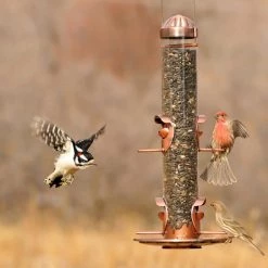 2-in-1 Copper Hanging Bird Feeder - 1 lb. Capacity by Perky-Pet -Cheap Bird & Wildlife Supplies Store copper perky pet bird feeders 385 2 44 1000