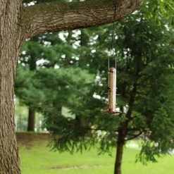 2-in-1 Copper Hanging Bird Feeder - 1 lb. Capacity by Perky-Pet -Cheap Bird & Wildlife Supplies Store copper perky pet bird feeders 385 2 d4 1000