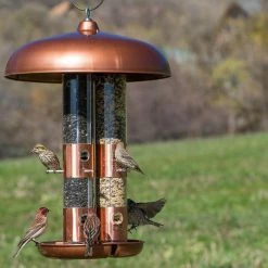 Copper Finish Triple Tube Squirrel Resistant Wild Bird Feeder - 10 lb. Capacity by Perky-Pet -Cheap Bird & Wildlife Supplies Store copper perky pet bird feeders 7103 2 44 1000