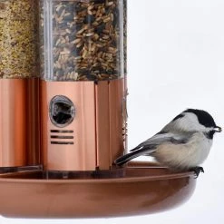 Copper Finish Triple Tube Squirrel Resistant Wild Bird Feeder - 10 lb. Capacity by Perky-Pet -Cheap Bird & Wildlife Supplies Store copper perky pet bird feeders 7103 2 76 1000