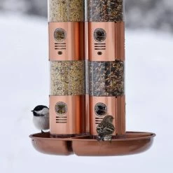 Copper Finish Triple Tube Squirrel Resistant Wild Bird Feeder - 10 lb. Capacity by Perky-Pet -Cheap Bird & Wildlife Supplies Store copper perky pet bird feeders 7103 2 fa 1000