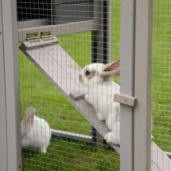 2-Tiers Outdoor Wooden Rabbit Hutch Bunny Cage with Ramp and Tray by COZIWOW -Cheap Bird & Wildlife Supplies Store coziwow beds cages cw12h0419 76 1000