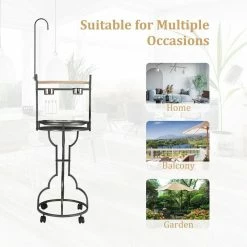 72 in. H Large Bird Play Stand Feeder Parrot Perch by COZIWOW -Cheap Bird & Wildlife Supplies Store coziwow bird cages carriers cw12f0399 t01 76 1000