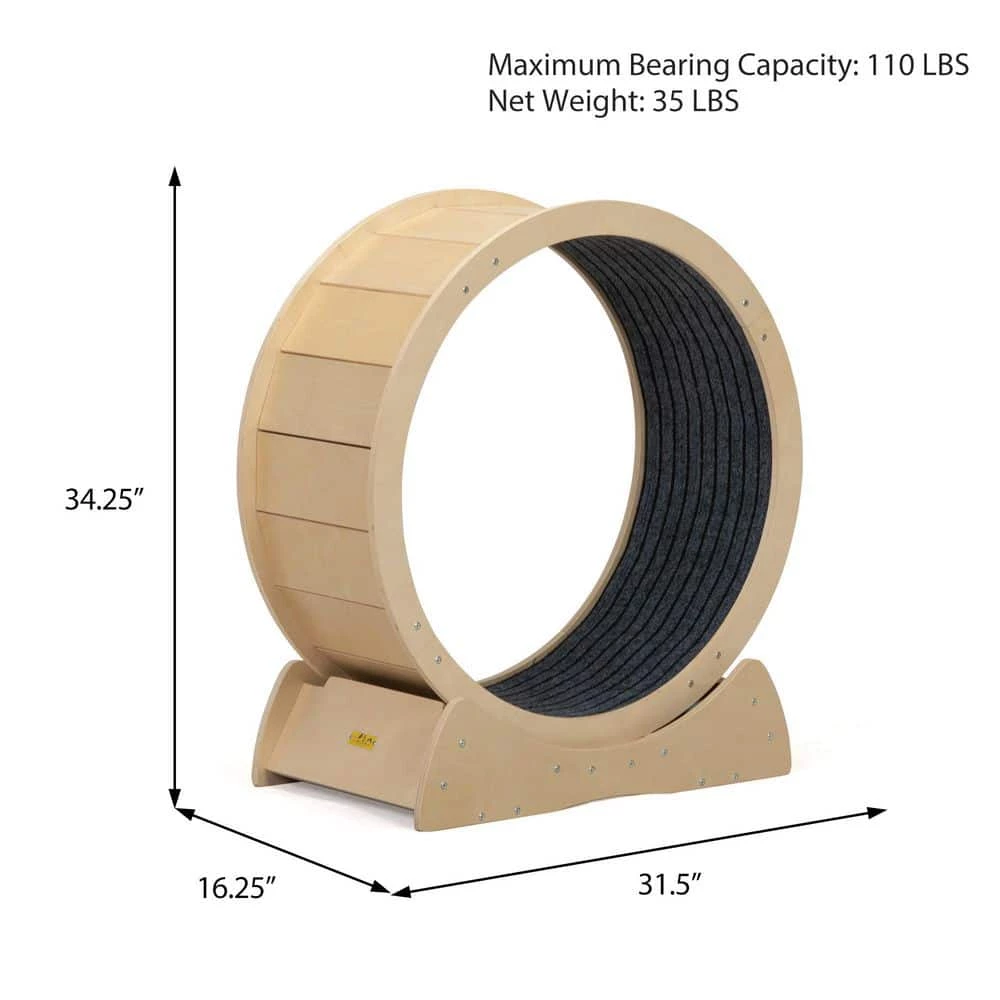 Cat Exercise Wheel Indoor Large Cat Toy with Movable Carpet by COZIWOW 4 Cat Exercise Wheel Indoor Large Cat Toy with Movable Carpet by COZIWOW - Image 4