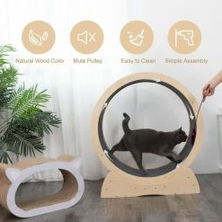 Cat Exercise Wheel Indoor Large Cat Toy with Movable Carpet by COZIWOW 9 Cat Exercise Wheel Indoor Large Cat Toy with Movable Carpet by COZIWOW -Cheap Bird & Wildlife Supplies Store coziwow cat toys cw12s0498 c3 1000