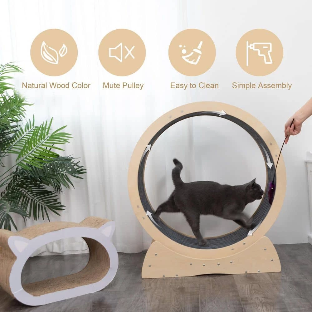Cat Exercise Wheel Indoor Large Cat Toy with Movable Carpet by COZIWOW 3 Cat Exercise Wheel Indoor Large Cat Toy with Movable Carpet by COZIWOW - Image 3