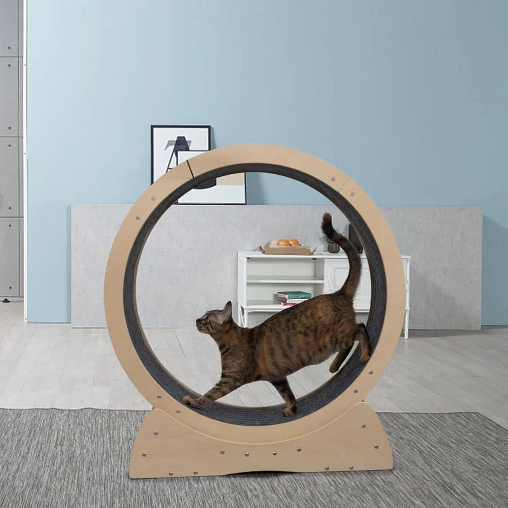 Cat Exercise Wheel Indoor Large Cat Toy with Movable Carpet by COZIWOW 2 Cat Exercise Wheel Indoor Large Cat Toy with Movable Carpet by COZIWOW - Image 2