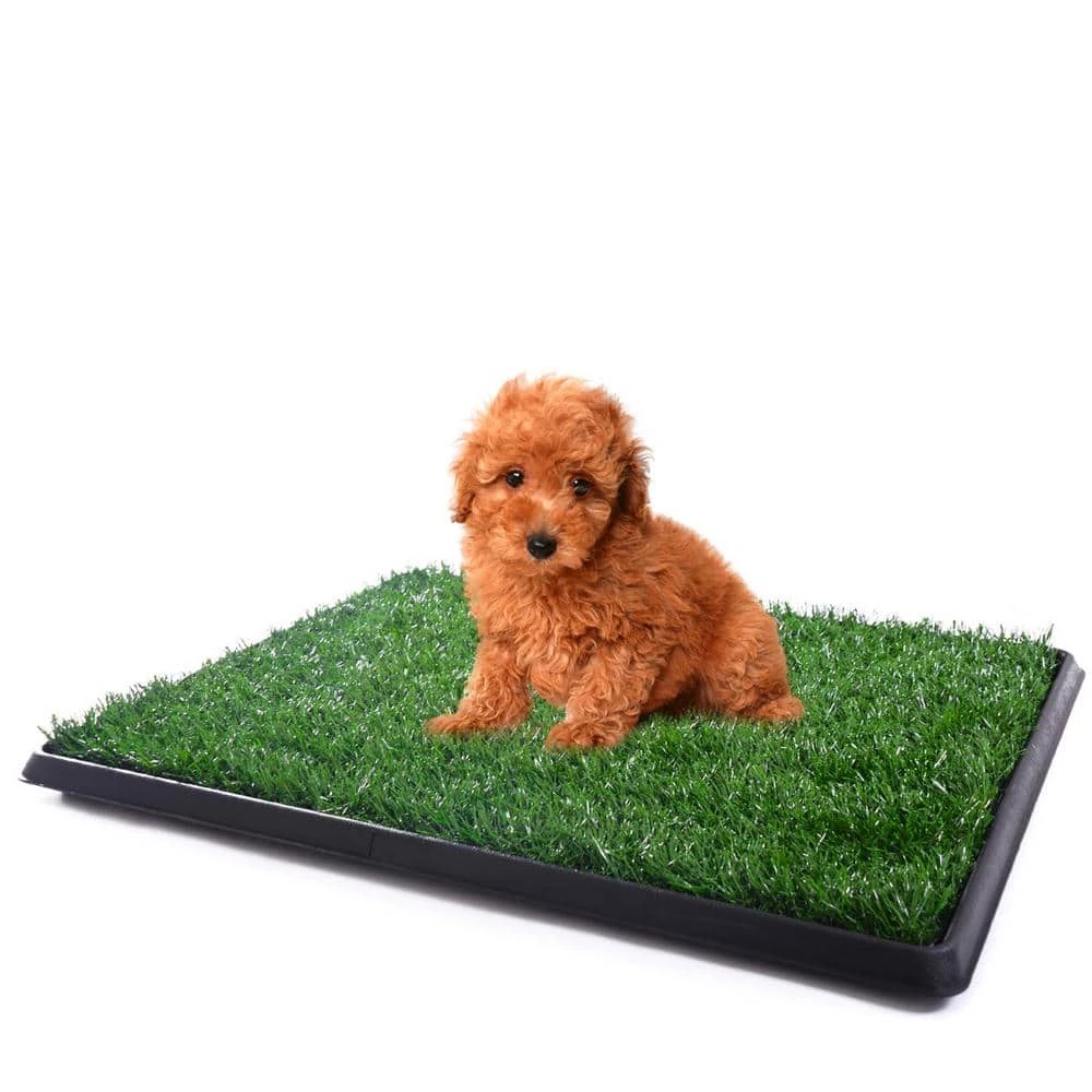 25 in. x 20 in. Dog Mat Pee Turf by COZIWOW 8 25 in. x 20 in. Dog Mat Pee Turf by COZIWOW - Image 8
