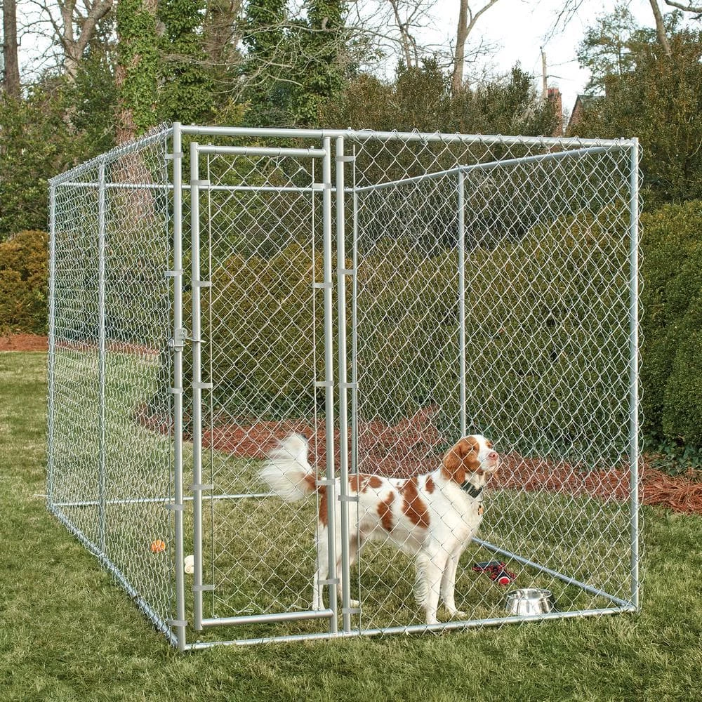 6 ft. x 10 ft. x 6 ft. Chain Link Kennel by PRIVATE BRAND UNBRANDED 2 6 ft. x 10 ft. x 6 ft. Chain Link Kennel by PRIVATE BRAND UNBRANDED - Image 2