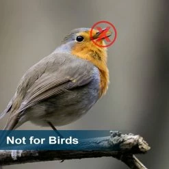 6 lbs. Natural Dried Soldier Fly Larvae for Chickens, Ducks, Geese, Turkeys and more. 85X more calcium than mealworms by Euchirus 11 6 lbs. Natural Dried Soldier Fly Larvae for Chickens, Ducks, Geese, Turkeys and more. 85X more calcium than mealworms by Euchirus -Cheap Bird & Wildlife Supplies Store euchirus bird seed food fly larvae 6 44 1000