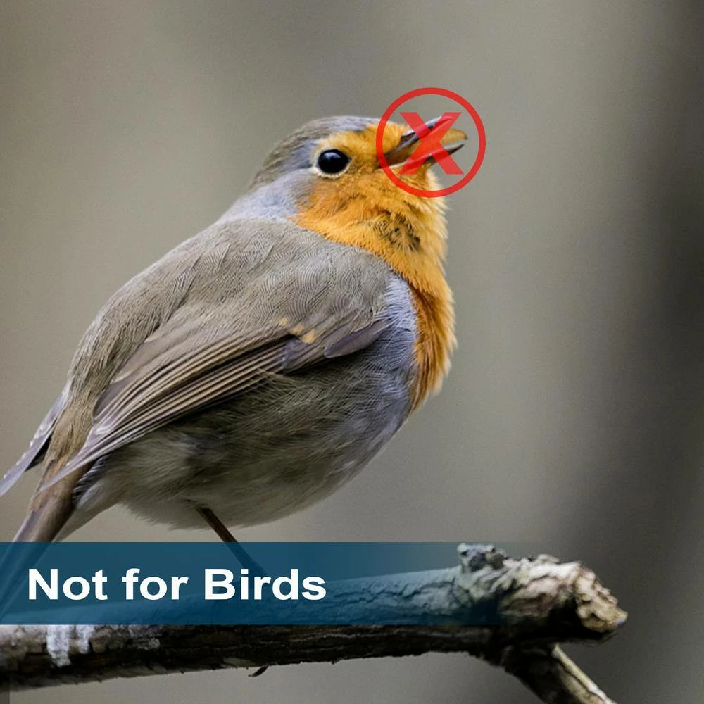 6 lbs. Natural Dried Soldier Fly Larvae for Chickens, Ducks, Geese, Turkeys and more. 85X more calcium than mealworms by Euchirus 5 6 lbs. Natural Dried Soldier Fly Larvae for Chickens, Ducks, Geese, Turkeys and more. 85X more calcium than mealworms by Euchirus - Image 5