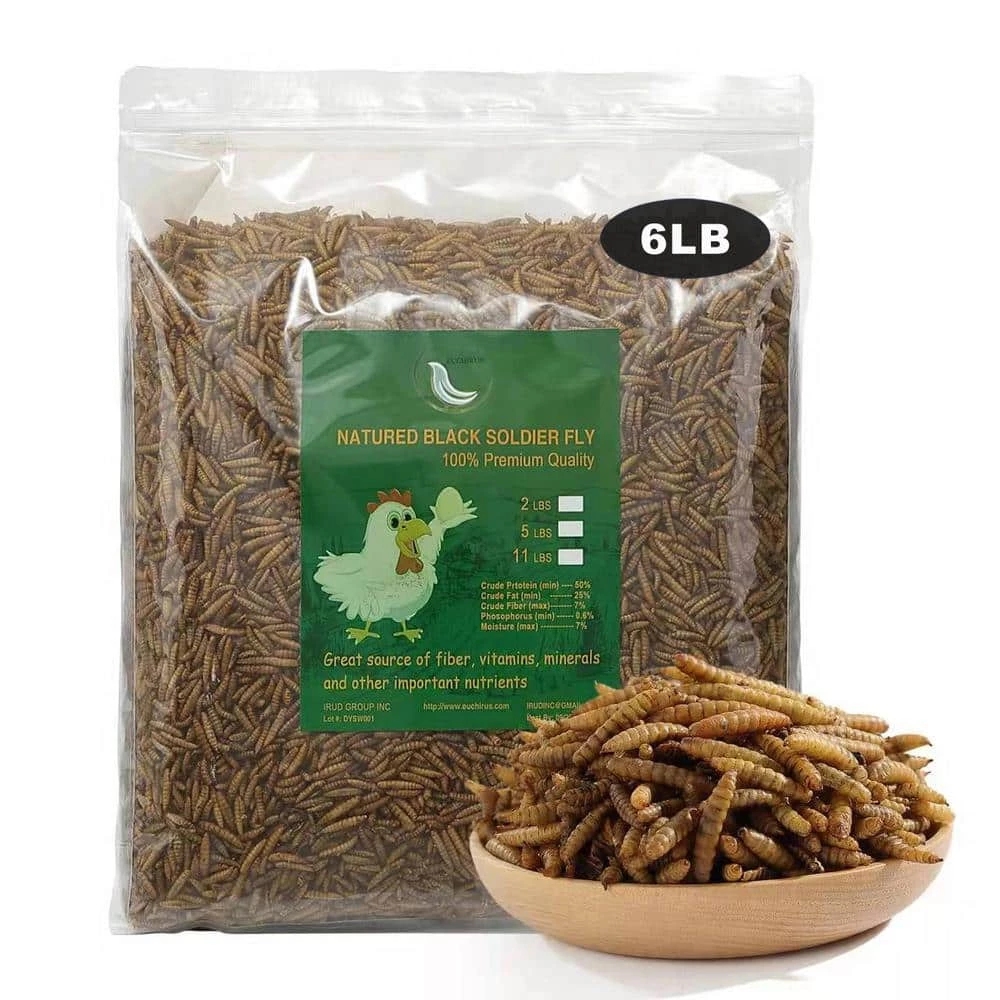 6 lbs. Natural Dried Soldier Fly Larvae for Chickens, Ducks, Geese, Turkeys and more. 85X more calcium than mealworms by Euchirus 1 6 lbs. Natural Dried Soldier Fly Larvae for Chickens, Ducks, Geese, Turkeys and more. 85X more calcium than mealworms by Euchirus