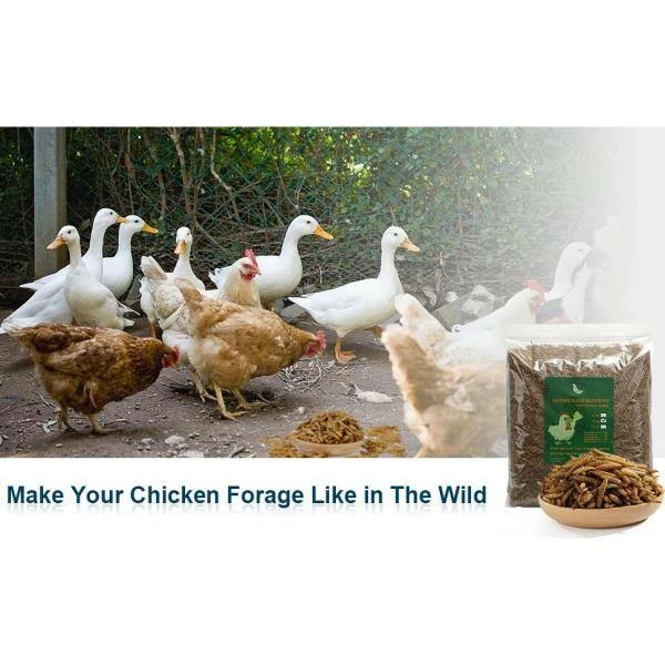 6 lbs. Natural Dried Soldier Fly Larvae for Chickens, Ducks, Geese, Turkeys and more. 85X more calcium than mealworms by Euchirus 7 6 lbs. Natural Dried Soldier Fly Larvae for Chickens, Ducks, Geese, Turkeys and more. 85X more calcium than mealworms by Euchirus - Image 7