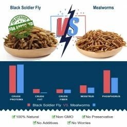 Cheap Bird & Wildlife Supplies Store -Cheap Bird & Wildlife Supplies Store euchirus bird seed food fly larvae 6 c3 1000