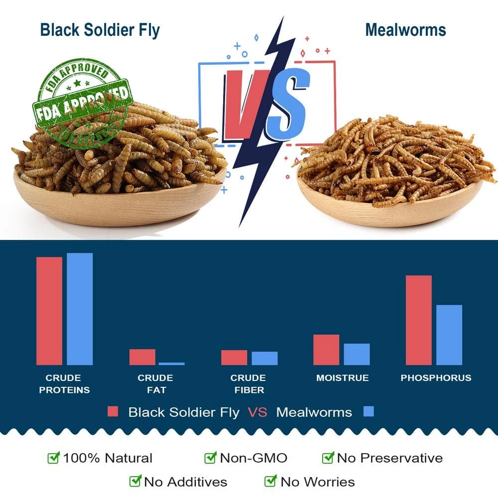 6 lbs. Natural Dried Soldier Fly Larvae for Chickens, Ducks, Geese, Turkeys and more. 85X more calcium than mealworms by Euchirus 2 6 lbs. Natural Dried Soldier Fly Larvae for Chickens, Ducks, Geese, Turkeys and more. 85X more calcium than mealworms by Euchirus - Image 2