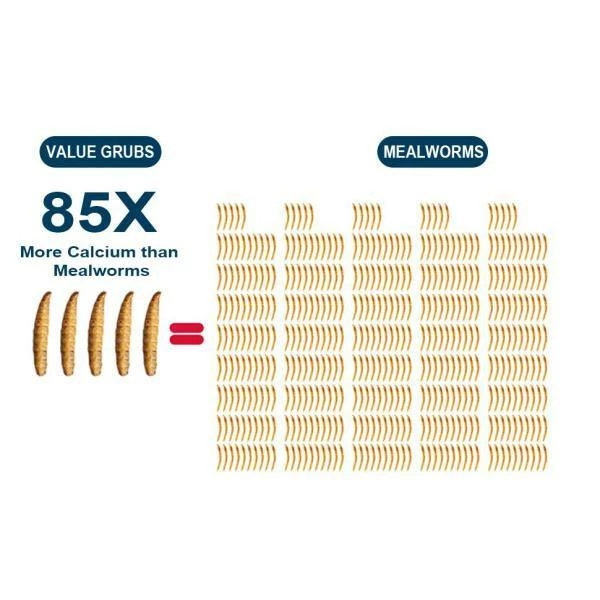 6 lbs. Natural Dried Soldier Fly Larvae for Chickens, Ducks, Geese, Turkeys and more. 85X more calcium than mealworms by Euchirus 6 6 lbs. Natural Dried Soldier Fly Larvae for Chickens, Ducks, Geese, Turkeys and more. 85X more calcium than mealworms by Euchirus - Image 6