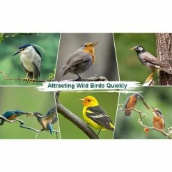 10 lbs. Non-GMO Dried Mealworms for Wild Bird Chicken Fish, High-Protein, Large Meal Worms by Euchirus 13 10 lbs. Non-GMO Dried Mealworms for Wild Bird Chicken Fish, High-Protein, Large Meal Worms by Euchirus -Cheap Bird & Wildlife Supplies Store euchirus bird seed food mealworms 10 76 1000