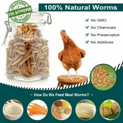 2 lbs. Non-GMO Dried Mealworms for Wild Bird Chicken Fish, High-Protein, Large Meal Worms by Euchirus 10 2 lbs. Non-GMO Dried Mealworms for Wild Bird Chicken Fish, High-Protein, Large Meal Worms by Euchirus -Cheap Bird & Wildlife Supplies Store euchirus bird seed food mealworms 2 1f 1000