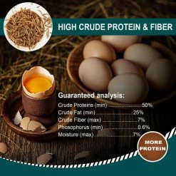 2 lbs. Non-GMO Dried Mealworms for Wild Bird Chicken Fish, High-Protein, Large Meal Worms by Euchirus 9 2 lbs. Non-GMO Dried Mealworms for Wild Bird Chicken Fish, High-Protein, Large Meal Worms by Euchirus -Cheap Bird & Wildlife Supplies Store euchirus bird seed food mealworms 2 4f 1000