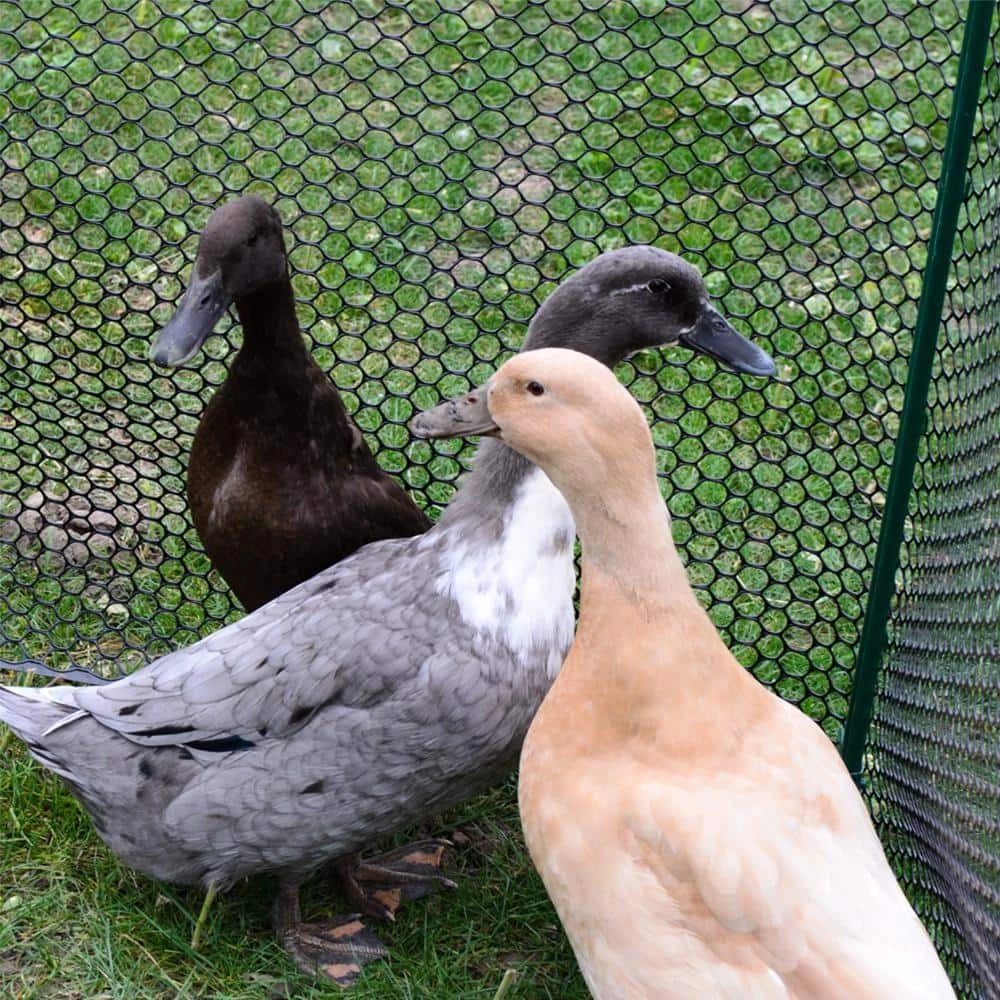 3/4 in. x 3 ft. x 25 ft. Black Plastic Poultry Fence by Everbilt 4 3/4 in. x 3 ft. x 25 ft. Black Plastic Poultry Fence by Everbilt - Image 4