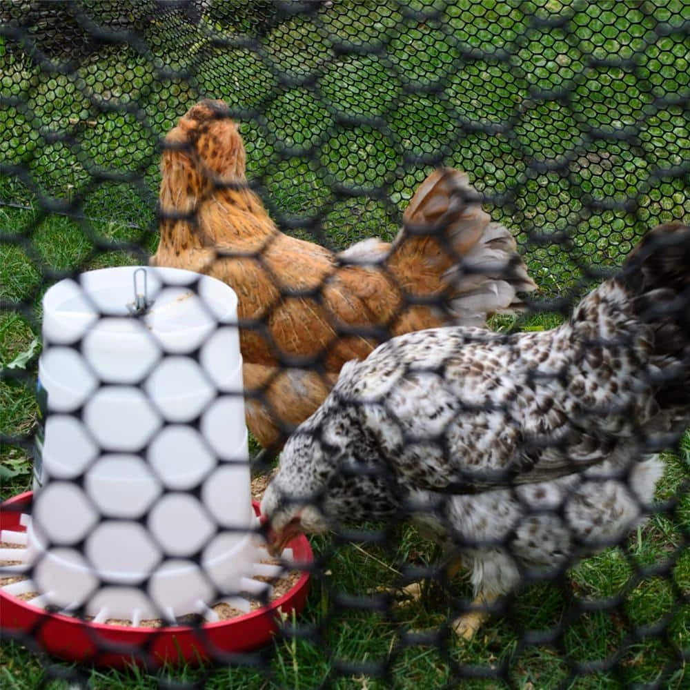 3/4 in. x 3 ft. x 25 ft. Black Plastic Poultry Fence by Everbilt 5 3/4 in. x 3 ft. x 25 ft. Black Plastic Poultry Fence by Everbilt - Image 5