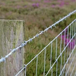 1320 ft. 12-1/2 Gauge 2-Point Class I Barbed Wire by FARMGARD -Cheap Bird & Wildlife Supplies Store farmgard barbed wire fencing 317821a 1f 1000