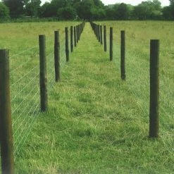3 ft. 3 in. x 132 ft. Field Fence by FARMGARD 8 3 ft. 3 in. x 132 ft. Field Fence by FARMGARD -Cheap Bird & Wildlife Supplies Store farmgard farm fencing 348105b 1f 1000