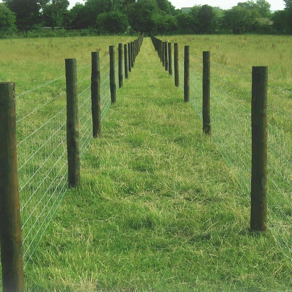 3 ft. 3 in. x 132 ft. Field Fence by FARMGARD 4 3 ft. 3 in. x 132 ft. Field Fence by FARMGARD - Image 4