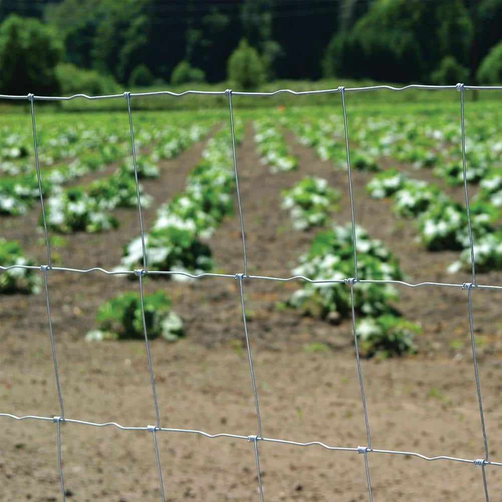 3 ft. 3 in. x 132 ft. Field Fence by FARMGARD 3 3 ft. 3 in. x 132 ft. Field Fence by FARMGARD - Image 3