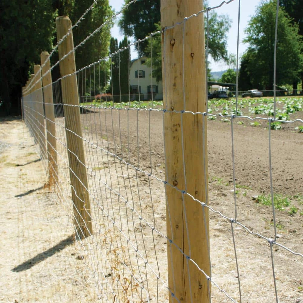 3 ft. 3 in. x 132 ft. Field Fence by FARMGARD 2 3 ft. 3 in. x 132 ft. Field Fence by FARMGARD - Image 2