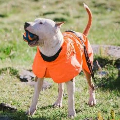 Size 2XL Orange Cool sytle Dog Jackets by Foobrues -Cheap Bird & Wildlife Supplies Store foobrues apparel accessories l a10010093 1f 1000