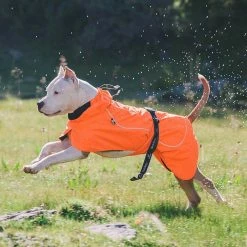 Size 2XL Orange Cool sytle Dog Jackets by Foobrues -Cheap Bird & Wildlife Supplies Store foobrues apparel accessories l a10010093 44 1000