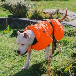 Size 2XL Orange Cool sytle Dog Jackets by Foobrues -Cheap Bird & Wildlife Supplies Store foobrues apparel accessories l a10010093 4f 1000
