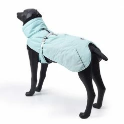 Blue Cool Dog Winter Jacket with Waterproof Warm Polyester Filling Fabric in Extra Large by Foobrues 13 Blue Cool Dog Winter Jacket with Waterproof Warm Polyester Filling Fabric in Extra Large by Foobrues -Cheap Bird & Wildlife Supplies Store foobrues apparel accessories l a23167383 c3 1000