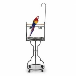 Bird Stand Rack with Solid Wood Perch Large Parrot Playstand by Foobrues -Cheap Bird & Wildlife Supplies Store foobrues bird cages carriers mjx 23171199 c3 1000