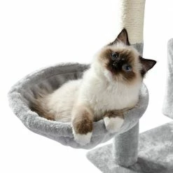 Cat Tree 56 in. Cat Tower for Multiple Cats with Super Large Perch Double Condo Hammock and Scratching Post by Foobrues 12 Cat Tree 56 in. Cat Tower for Multiple Cats with Super Large Perch Double Condo Hammock and Scratching Post by Foobrues -Cheap Bird & Wildlife Supplies Store foobrues cat trees scratch posts l w79633964 fa 1000