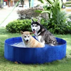 47.20 in. Pet Dog Bath Pool in Blue by Foobrues -Cheap Bird & Wildlife Supplies Store foobrues pet baths lnn p23168618 1f 1000
