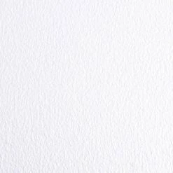 Clear 5 ft. x 10 ft. Ceramic Pet Floor Protector by G-Floor