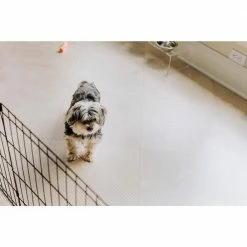 Clear 5 ft. x 10 ft. Ribbed Pet Floor Protector by G-Floor -Cheap Bird & Wildlife Supplies Store g floor beds cages kl55rb510cc 76 1000