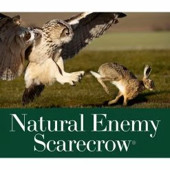 18.5 in. H Dalen Products SOL-R Action Owl by GARDENEER By Dalen -Cheap Bird & Wildlife Supplies Store gardeneer by dalen accessories srho 4 4f 1000