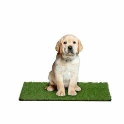 24 in. x 36 in. Indoor/Outdoor Greentic Artificial Grass Turf Puppy Pee Pad by Garland Rug 13 24 in. x 36 in. Indoor/Outdoor Greentic Artificial Grass Turf Puppy Pee Pad by Garland Rug -Cheap Bird & Wildlife Supplies Store garland rug waste disposal systems pm000m024036k8 31 1000