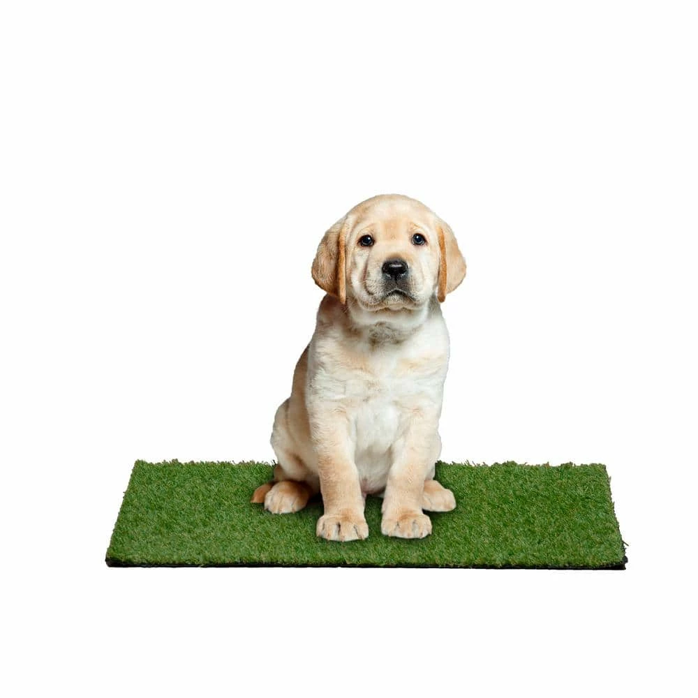 24 in. x 36 in. Indoor/Outdoor Greentic Artificial Grass Turf Puppy Pee Pad by Garland Rug 7 24 in. x 36 in. Indoor/Outdoor Greentic Artificial Grass Turf Puppy Pee Pad by Garland Rug - Image 7